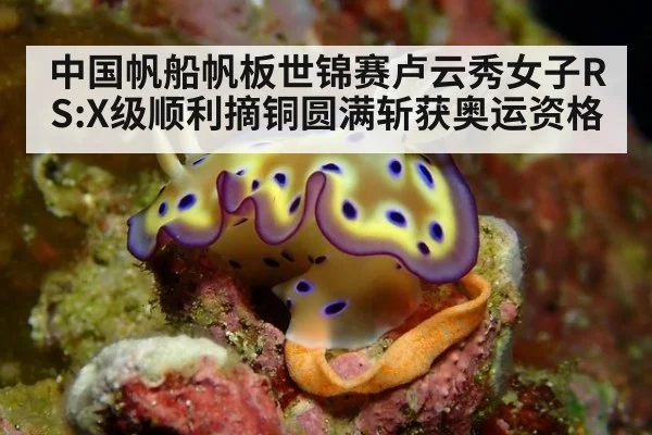 中国帆船帆板世锦赛卢云秀女子RS:X级顺利摘铜圆满斩获奥运资格