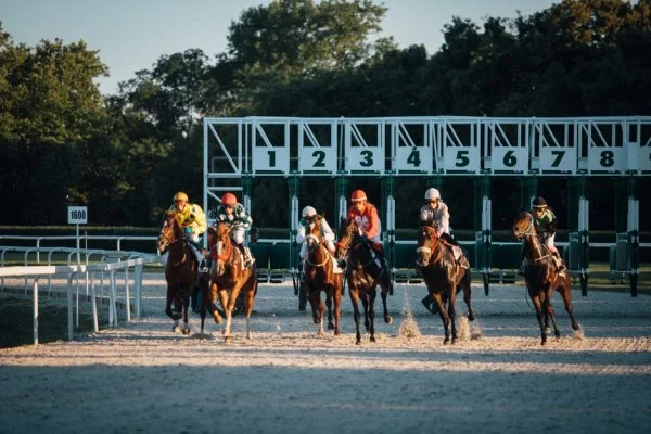horse racing track